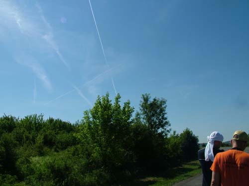 ����������� ���� 2009 � 1389.org.rs